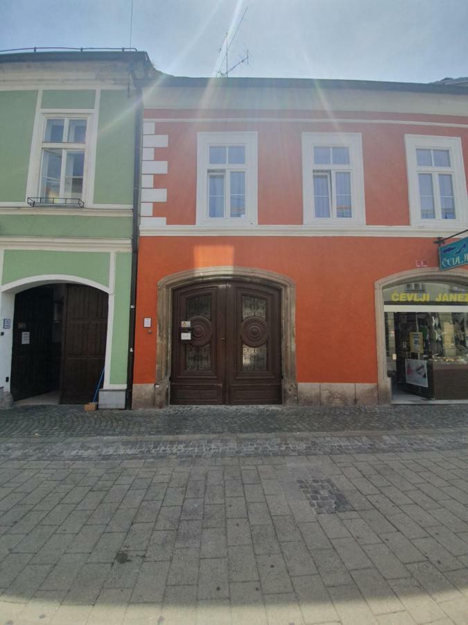 Luxory Apartment The Soul Of City Maribor Exteriör bild